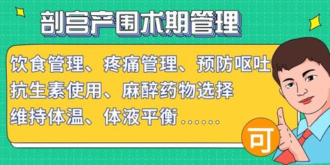 現代餐飲管理的核心要素與實踐策略