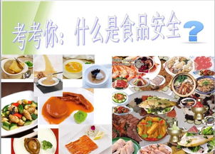 我的飯?zhí)梦易鲋?學生膳食管理小組帶你走進電職廚房餐飲管理